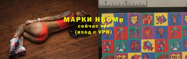 сатива Алзамай